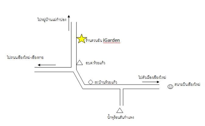 สวนฉัน Igarden Hotel Ban Pang Champi Eksteriør billede