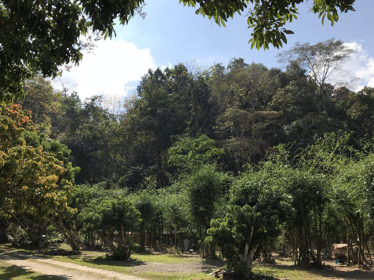 สวนฉัน Igarden Hotel Ban Pang Champi Eksteriør billede